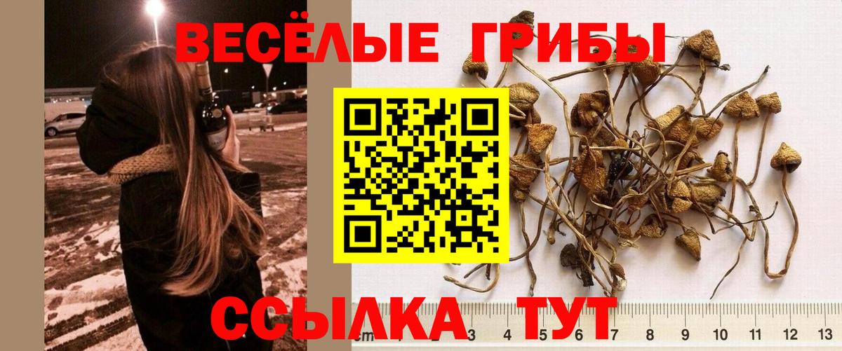 Псилоцибиновые грибы GOLDEN TEACHER  Галлюциногенные грибы мухоморы  Вход с VPN  Нягань 