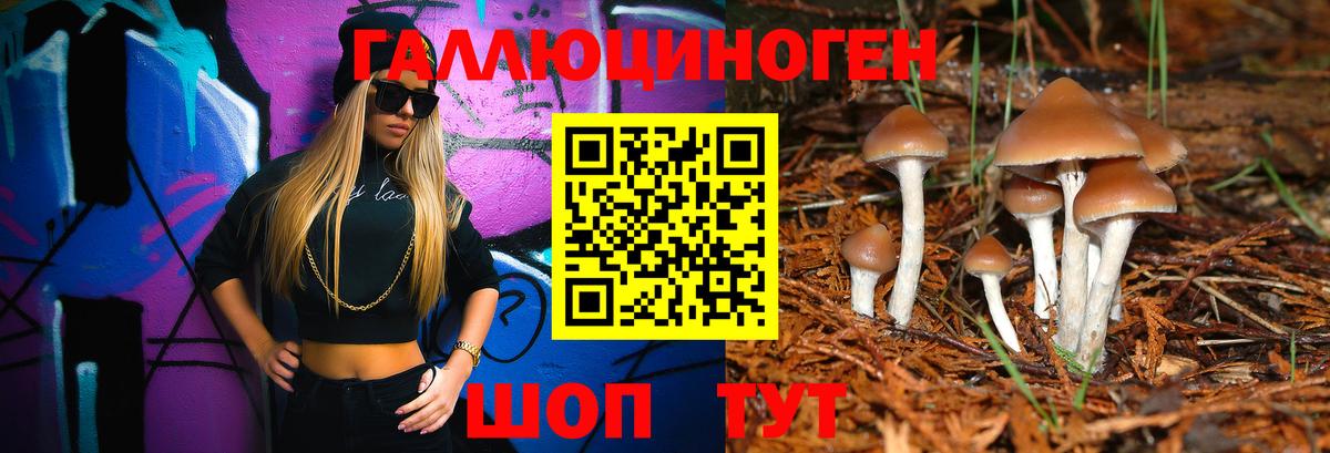 Псилоцибиновые грибы мицелий Нягань